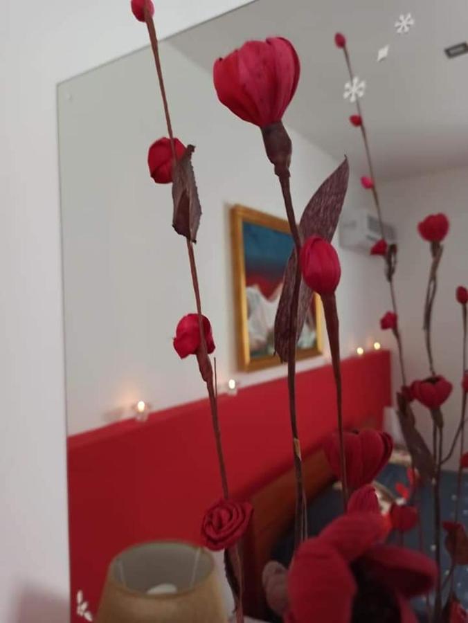 B&B Omer Шакка Экстерьер фото